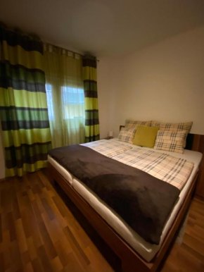 Holiday apartment next Danube Promenade
